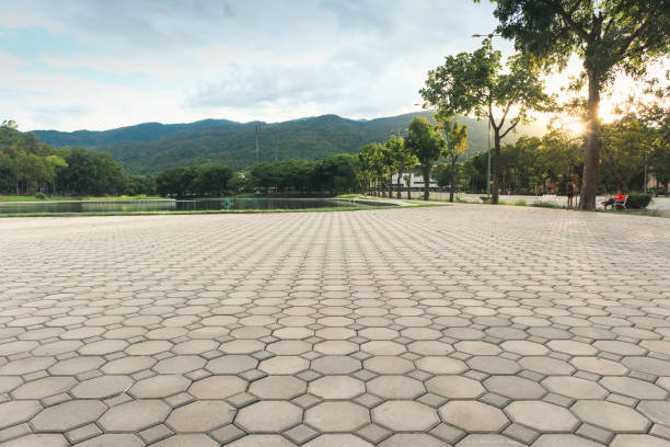 Best Driveway Paver Sealing  in Falconer, NY